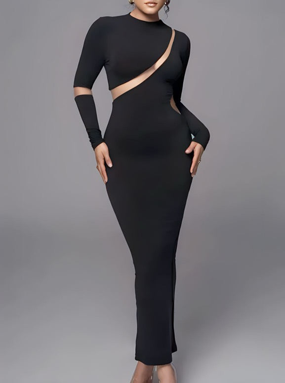 Turtleneck Long Sleeve Bodycon Maxi Dress