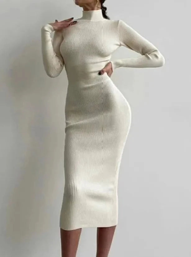 Turtleneck Long Sleeve Maxi Dress